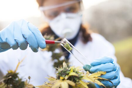 Liberalization of the use of Medical Cannabis in Switzerland